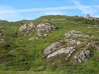 301_Connemara.jpg