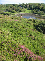 303_Connemara.jpg