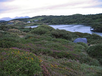 306_Connemara.jpg