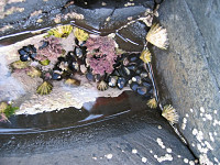 411_GiantsCauseway.jpg