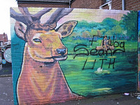 489_Belfast.jpg